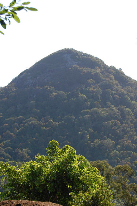 Cooroy Mountain
