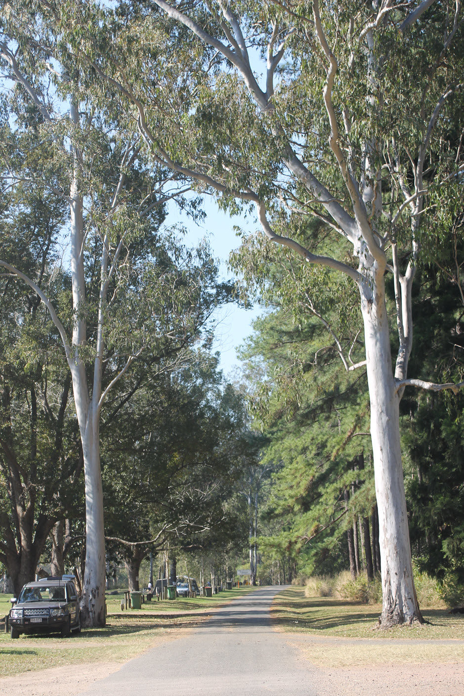 Camp Borumba