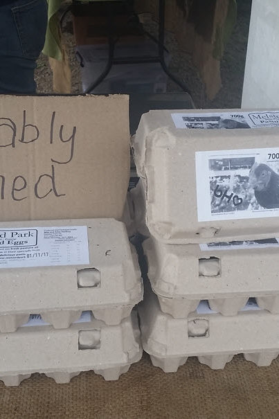 Free Range Eggs