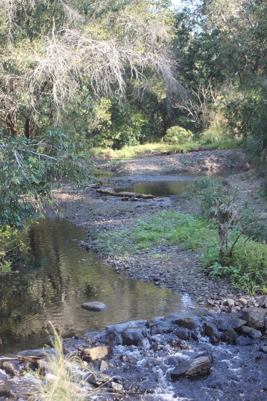 One the banks of the Yabba