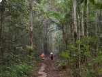 Great Noosa Country Trail Walk