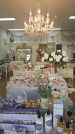 Belle Beauty and Fragrance Belle Beauty and Fragrance