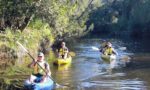 Kayaking the Yabba Creek